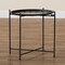 Baxton Studio Ivana Modern & Contemporary Black Finished Metal Plant Stand 206-12119 - alternate 7
